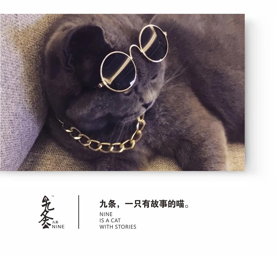 今天给你们看看那些闲得要命、富得流油的猫！