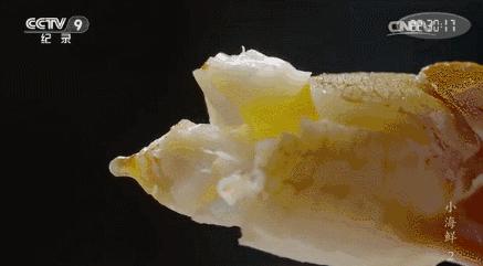 没有256G的胃，还敢到东海嗑海鲜？