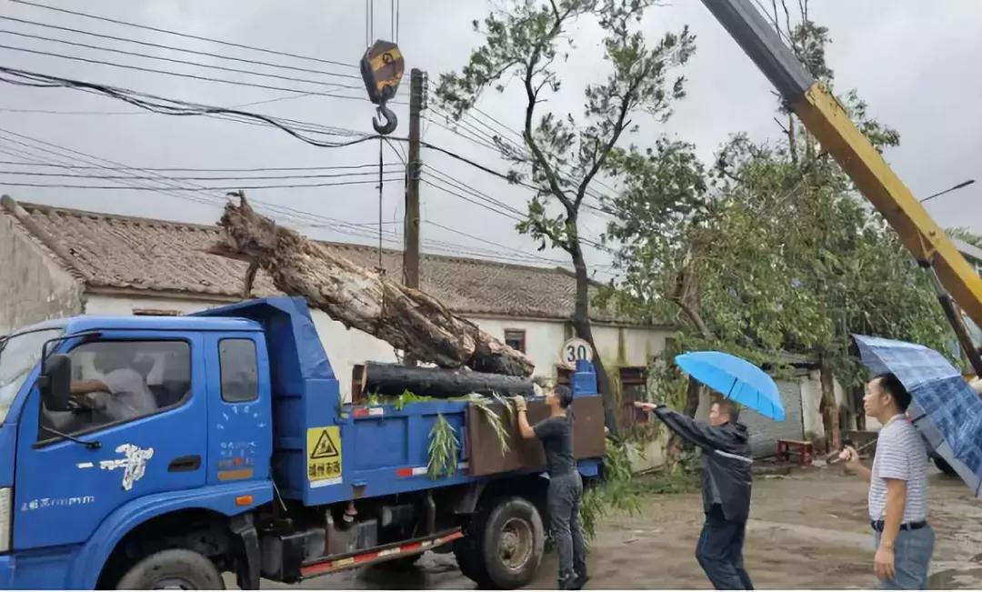请给他们多一点时间！端州全城风后大修缮