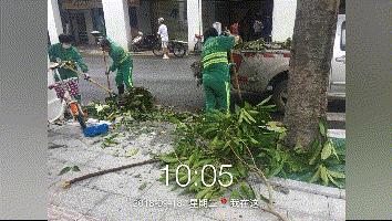 请给他们多一点时间！端州全城风后大修缮