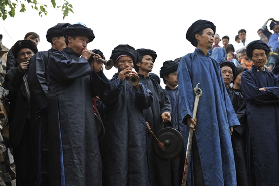 让我们走进美丽的紫云,最美的紫云花海