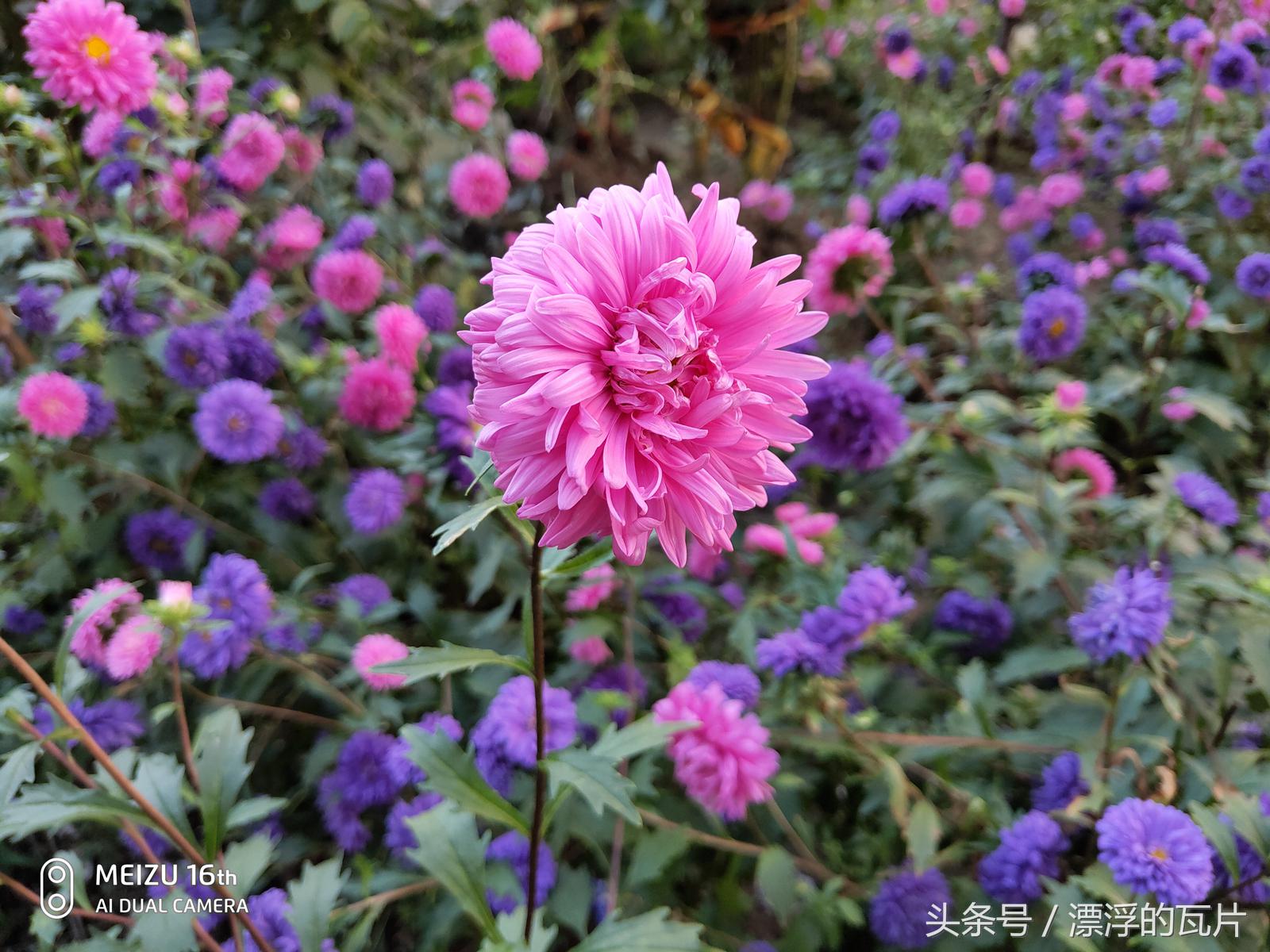 魅族16pro深度评测,魅族16评测蓝色字体