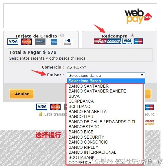 智利外贸市场开发,智利外贸开发