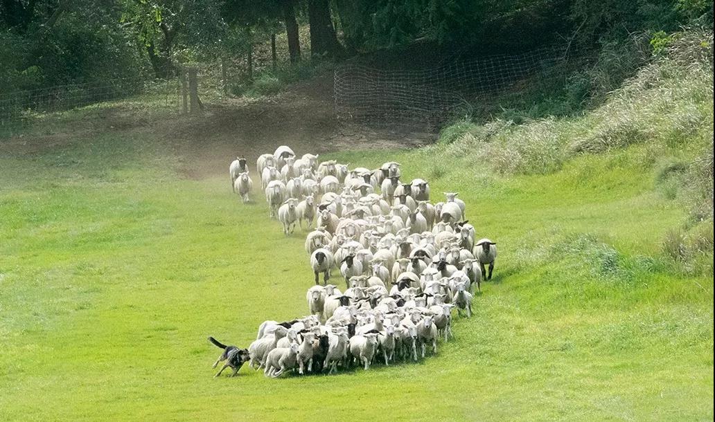 亲子牧场推荐,亲子牧场有哪些