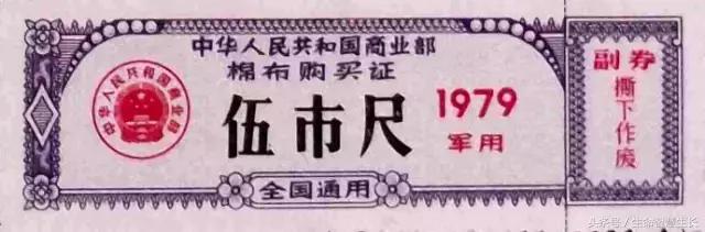 毛*东泽**时代的票证大全，永存于一代人记忆中的难忘岁月！