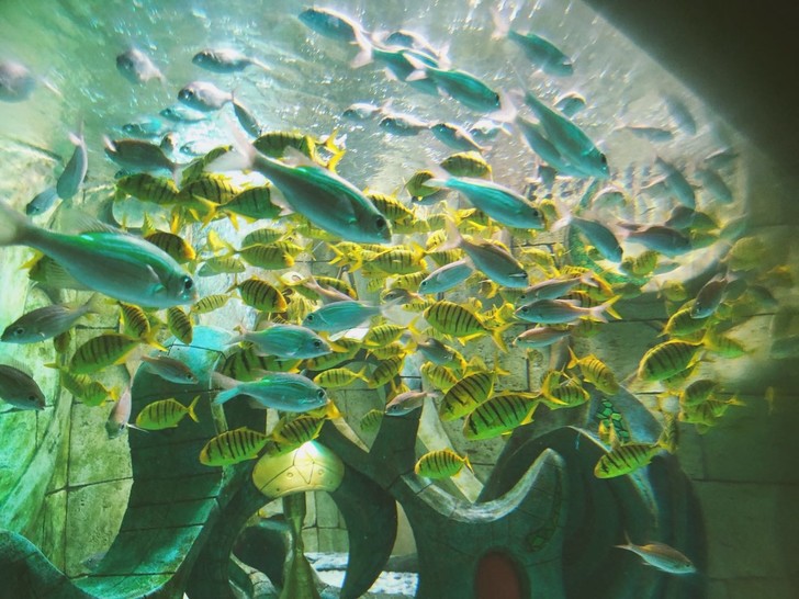 三亚亚特兰蒂斯酒店体验讲解,三亚亚特兰蒂斯酒店自由行攻略