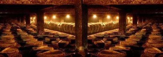 洋河蓝色经典旅游,洋河蓝色经典乐享版