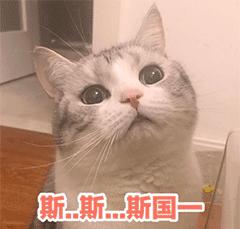 鸡冻了能救活吗,鸡冻僵复活