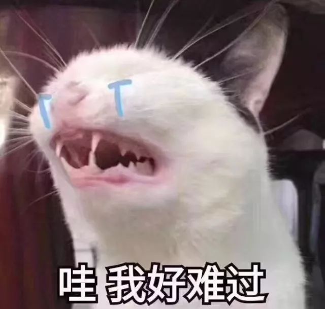 “今天忘穿内衣了?”这个日本内衣,舒适到像是与自己进行二次接触