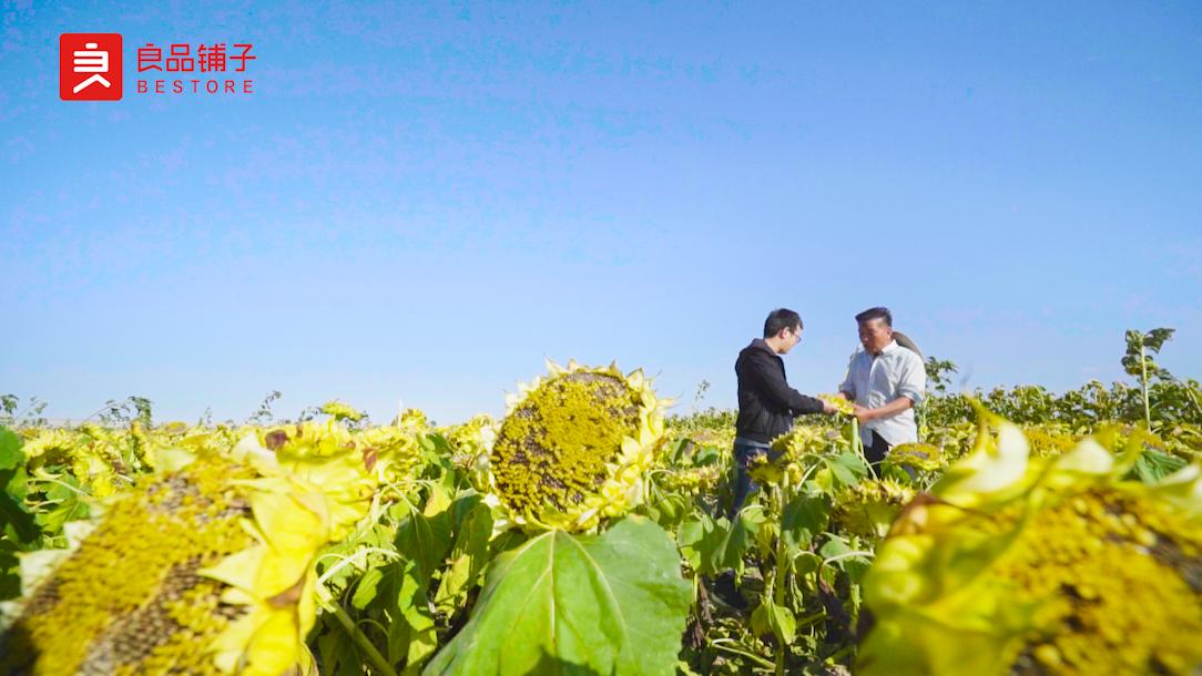 一粒瓜子,一粒瓜子的质量