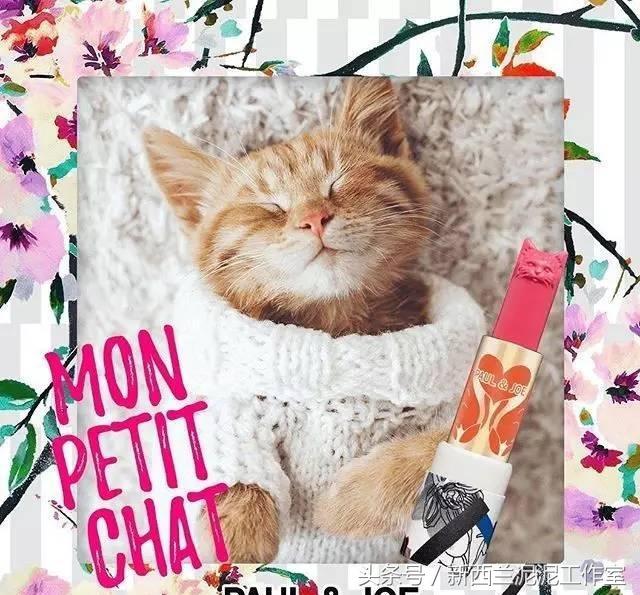 猫奴的护肤品,猫奴适合什么护肤品