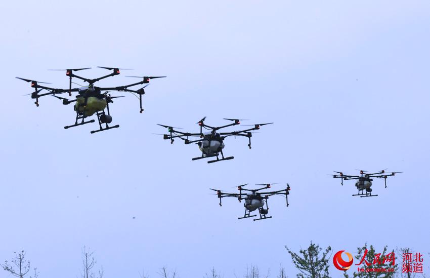 河北邯郸：智慧农机跳起舞喜迎首届丰收节