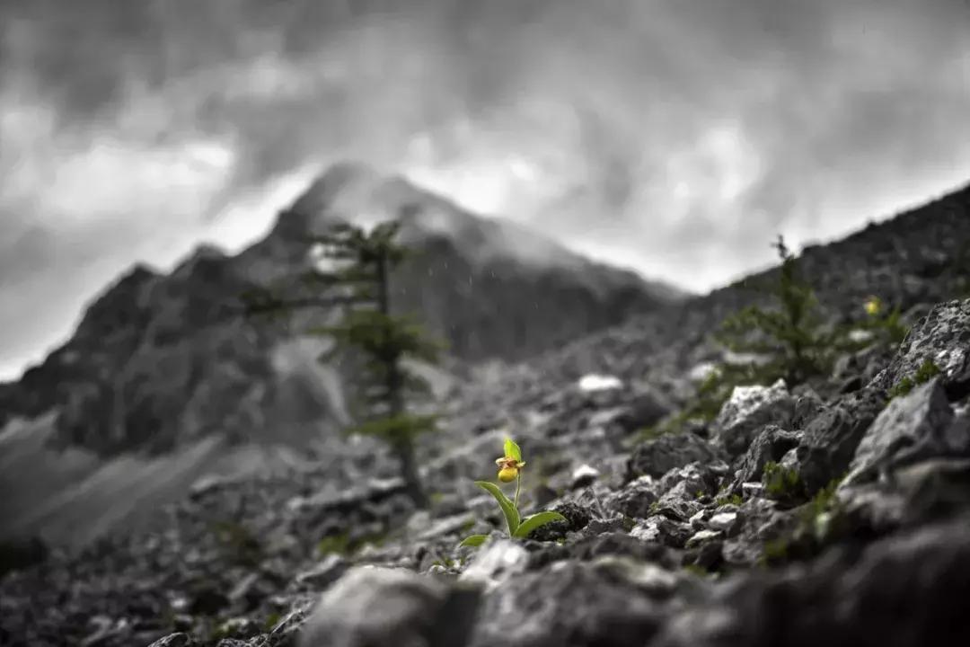 大美云南写真,大美云南山水