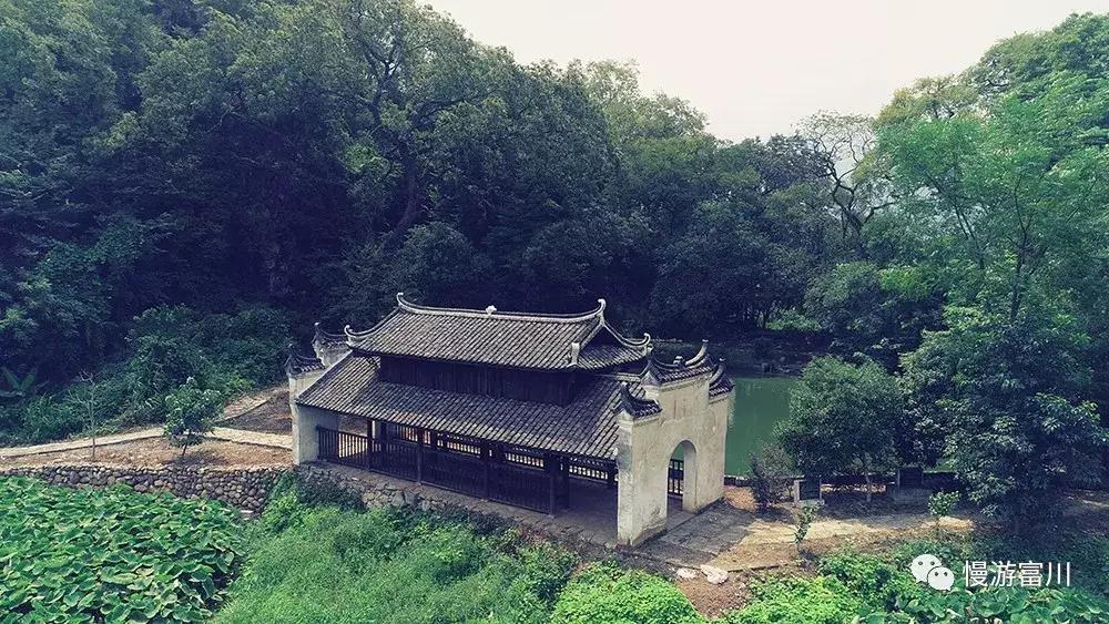 富川山清水秀,富川有树林的地方