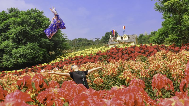 920就爱你自己，成都漫花千人广场舞展演启动