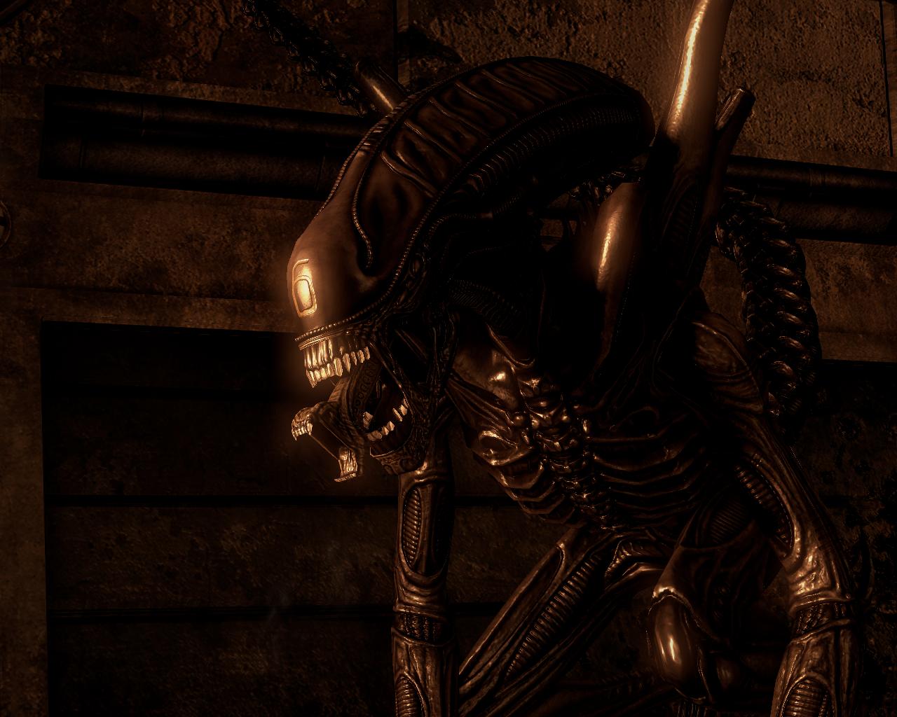 经典影视ip都有什么,经典ip形象有哪些