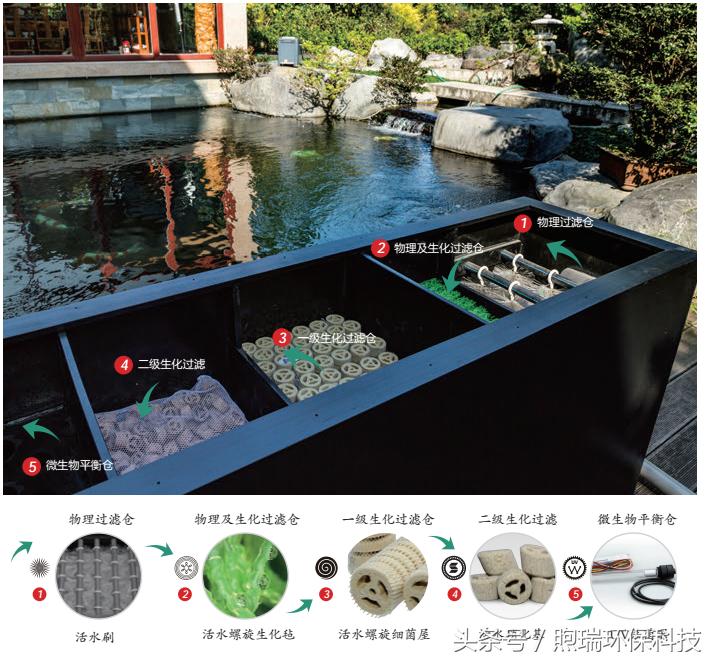 锦鲤鱼池过滤高清详细设计图纸,全自动过滤系统锦鲤鱼池施工方案