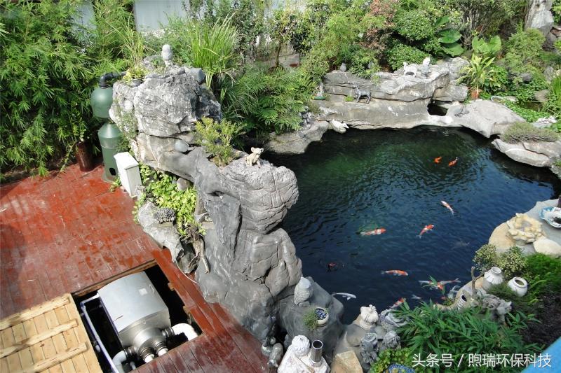 锦鲤鱼池过滤高清详细设计图纸,全自动过滤系统锦鲤鱼池施工方案