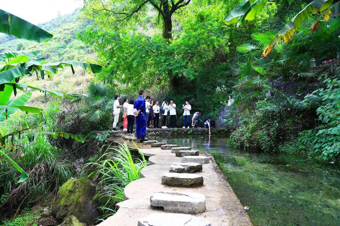 劲牌酒业的酒质咋样,劲牌谷酒的缺点和优点