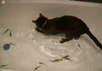 中秋活动开始之前提醒,中秋出游天气方面温馨提醒