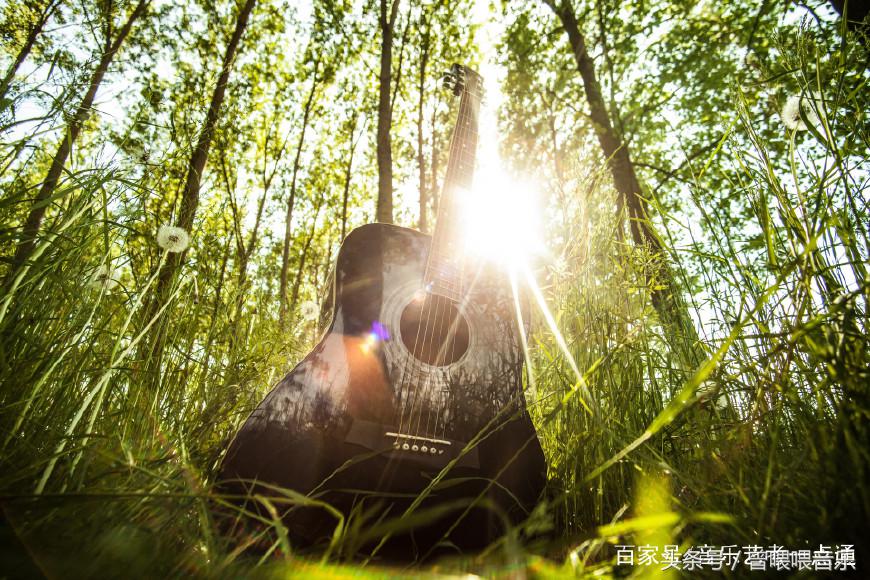 吉他应该怎么调节,吉他日常使用注意事项