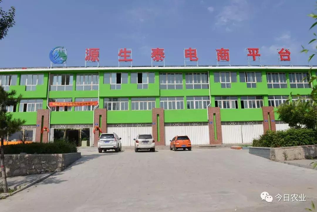 好质量的亚麻籽油,平鲁区亚麻籽油