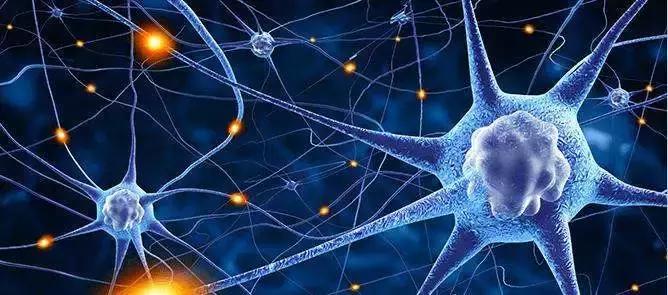 广东佰鸿再生医学有限公司,项目巡礼