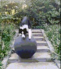 ▶昨天老妈教弟弟做作业,我弟不动脑筋思考,每道题都问...