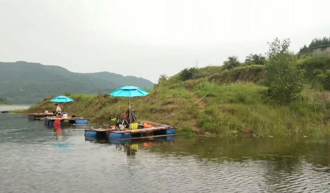 南部县升钟湖钓鱼视频,南部县升钟湖钓鱼价格