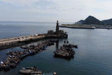 开海特别新鲜的海鲜有哪些,开海了有什么应季海鲜