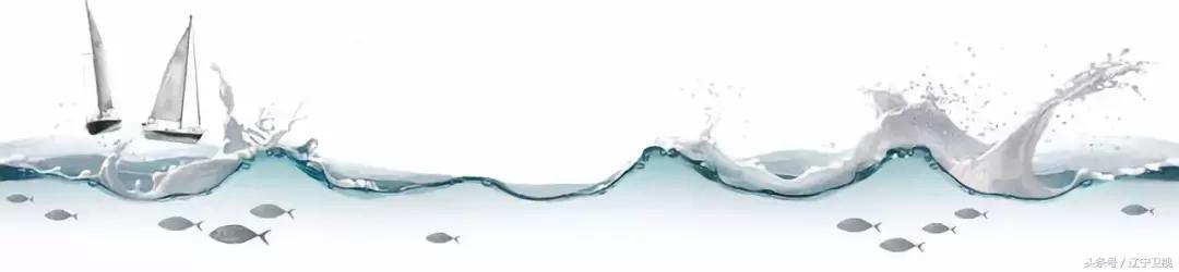 开海特别新鲜的海鲜有哪些,开海了有什么应季海鲜