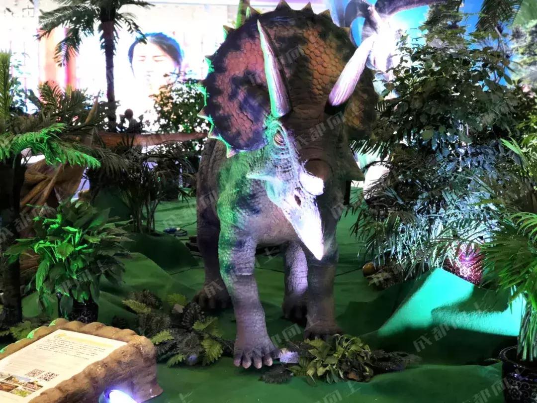 最新成都西博会,成都西博会2050年