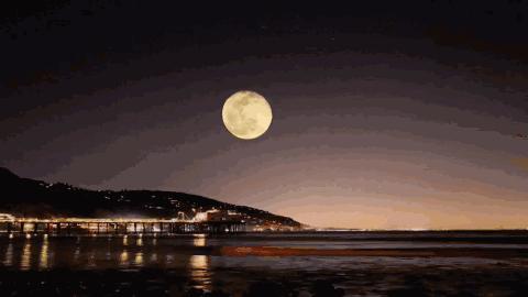 中秋温泉活动,中秋赏月旅游报价