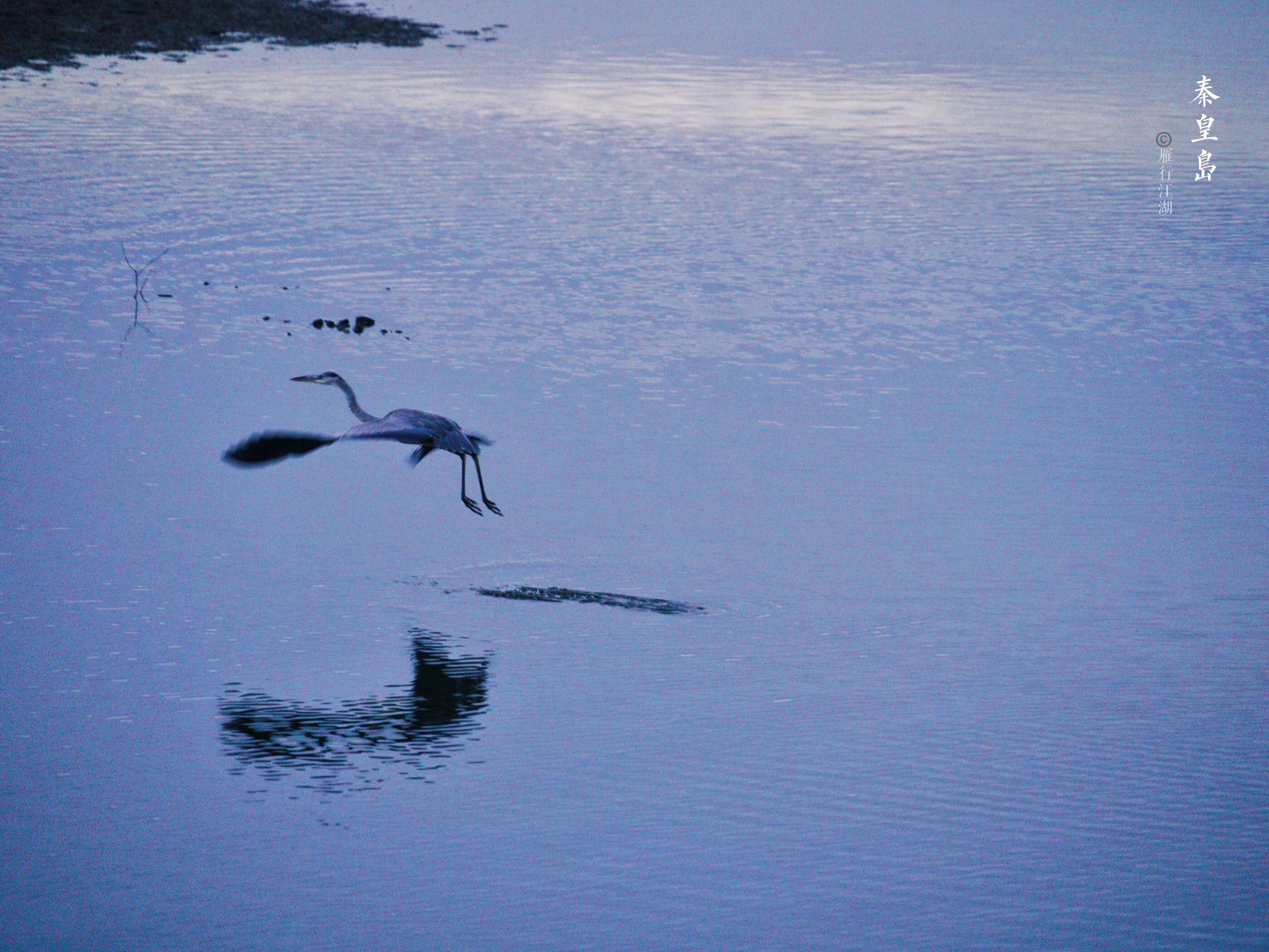 秦皇岛最佳观日出地点,秦皇岛市区日出最佳观赏地