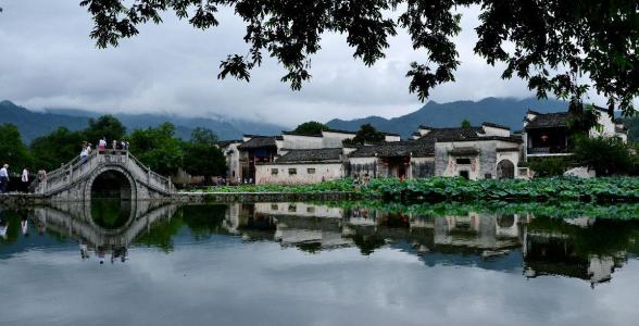 浙闽城市经济对比,江苏福建浙江山东的城市经济排名