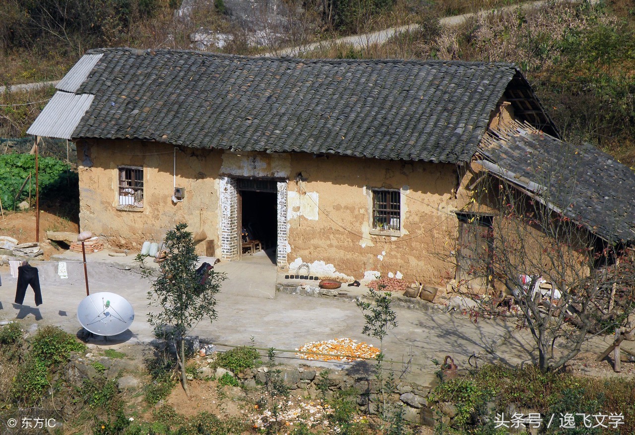 美丽的遇见感言,美丽的遇见在茫茫人海中