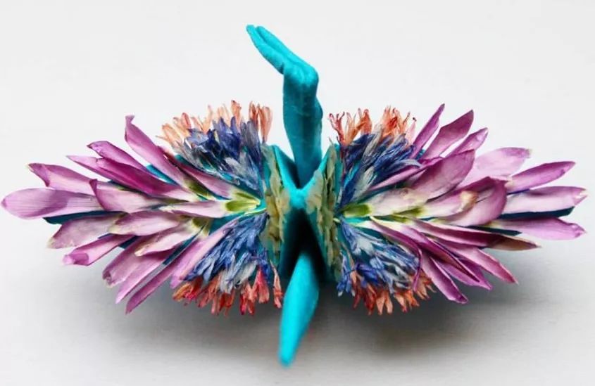 每天折一个千纸鹤,每天折一只纸鹤