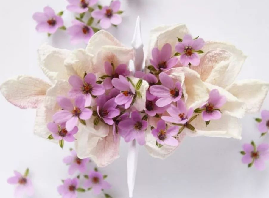 每天折一个千纸鹤,每天折一只纸鹤