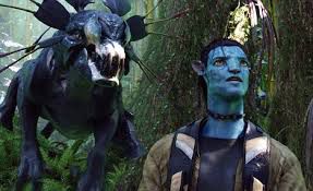 谁说只有猫爱干净？狗子不服！