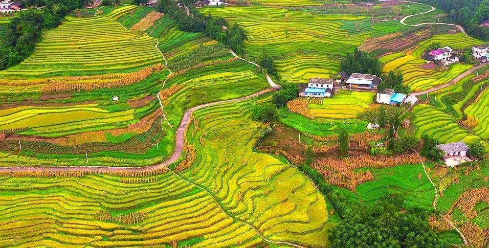 鏂扮枂娌欐咕娌嫢鎴忓墽灏忛晣,娌嫢鏁呴噷娌欐咕