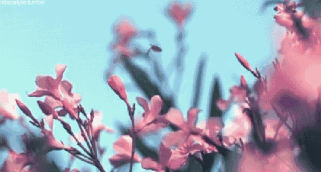 小学常考古诗有哪些,小学必考古诗词详解及练习题