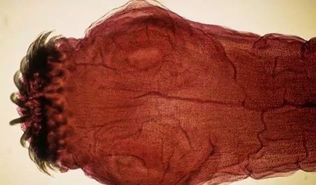 这是一个忧伤的故事英文,这是个忧伤的故事