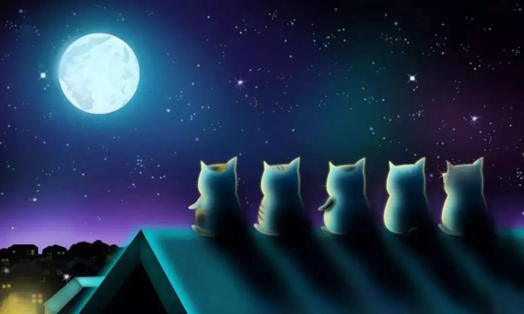 鍙岃妭娲诲姩瑁呬慨浼樻儬澶氬,瑁呬慨鍙岃妭淇冮攢鏂规