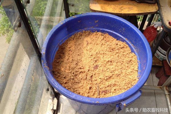 阳台养鸡发酵床注意事项,夏天阳台养鸡用发酵床养鸡可以吗