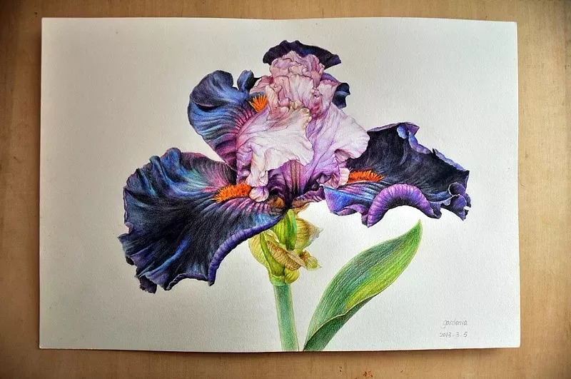 她画的超写实水彩花卉美到窒息,让人惊艳的水彩画