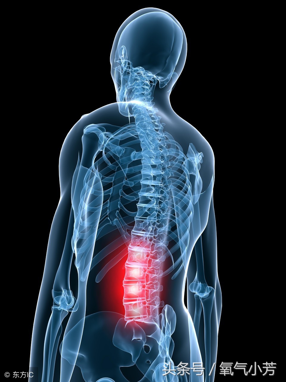 腰椎突出锻炼操30分钟完整版,腰椎伸筋操视频教程