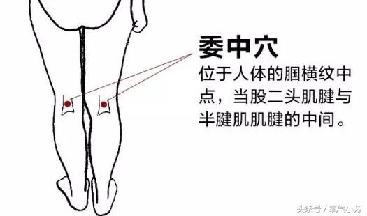 腰椎突出锻炼操30分钟完整版,腰椎伸筋操视频教程