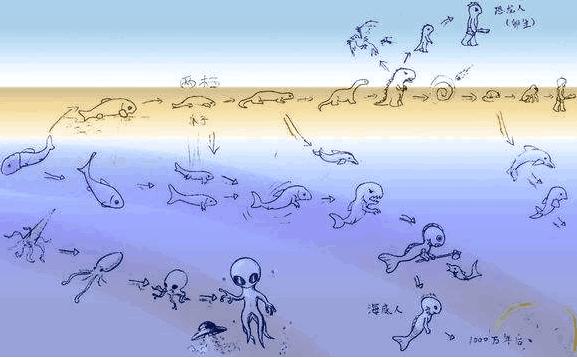 关于现代生物进化论,生物进化论是怎么来的