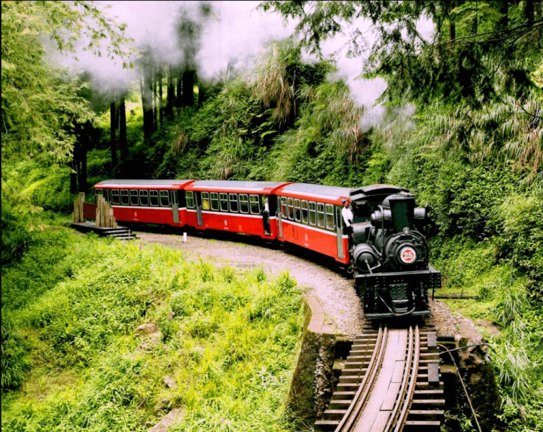 台湾阿里山观光小火车介绍,台湾阿里山旅游小火车