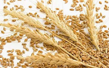 护肤成分大揭秘丨抗衰王牌阿魏酸